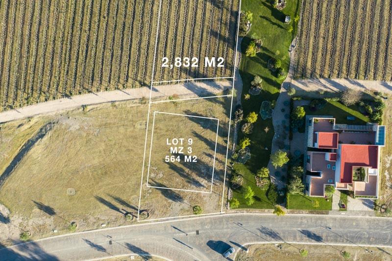 Vineyards, Lot 9 Image