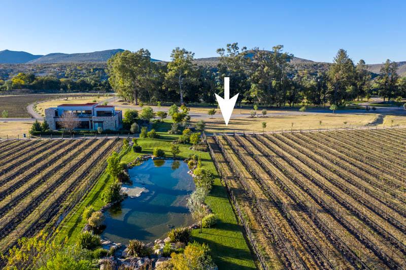 Vineyards, Lot 9 Image
