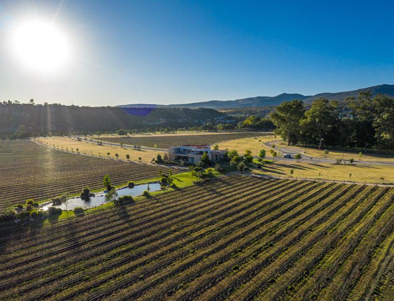 Vineyards, Lot 9 Image