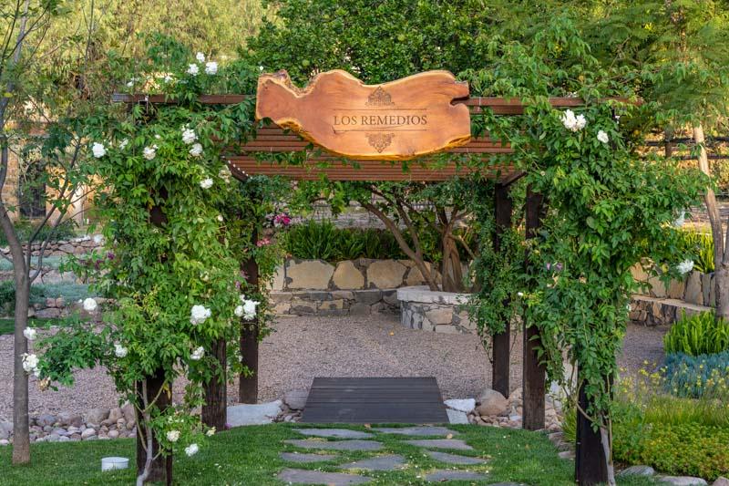 Vineyards, Lot 1 Image