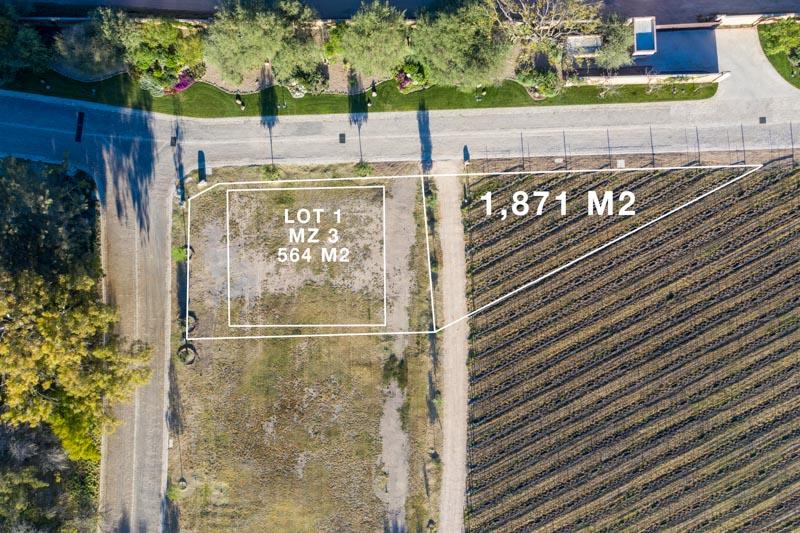 Vineyards, Lot 1 Image