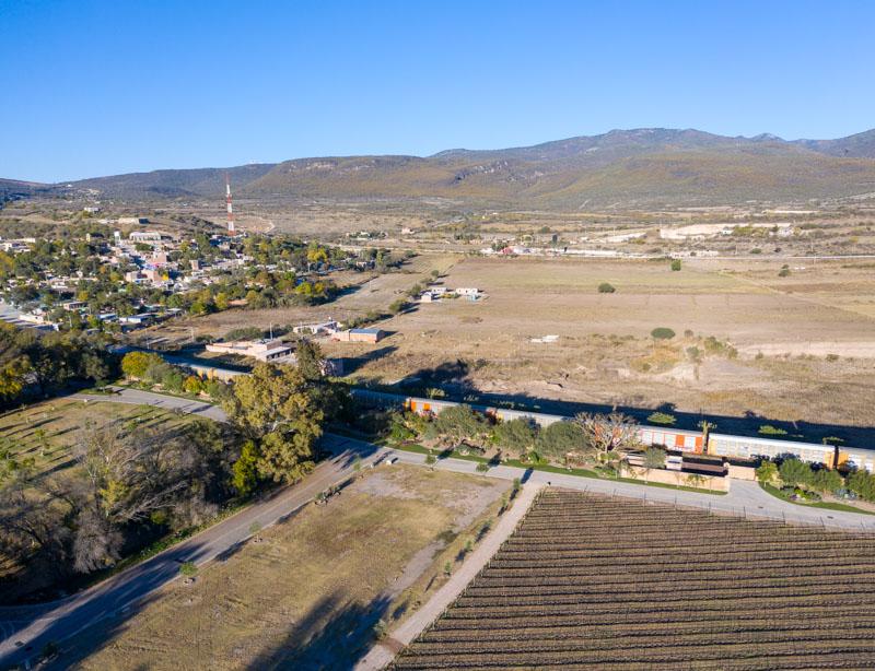 Vineyards, Lot 1 Image