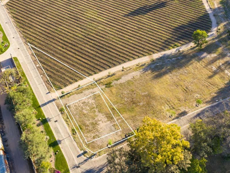 Vineyards, Lot 1 Image