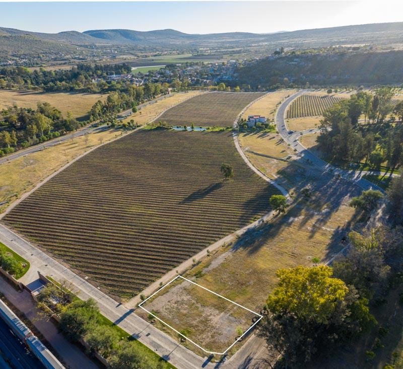 Vineyards, Lot 1 Image