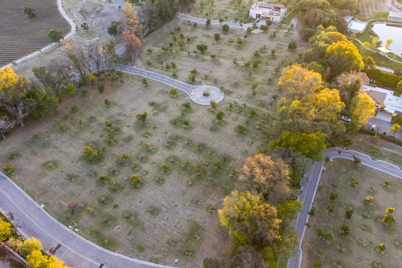 Avocado Orchards, Lot 2 Image