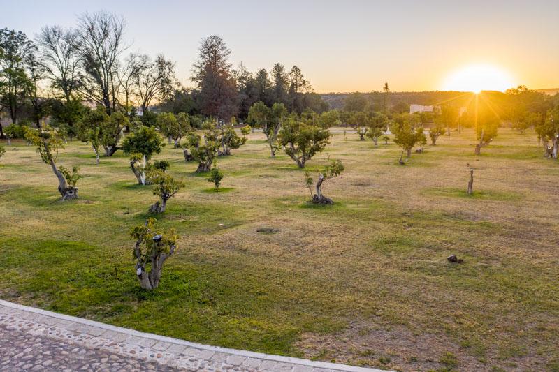 Avocado Orchards, Lot 2 Image