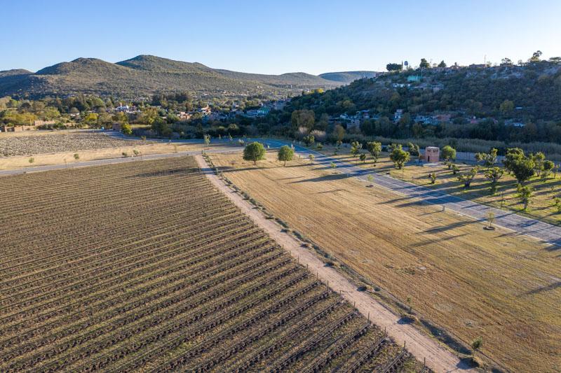 Vineyards, Lot 10 Mz 5 Image