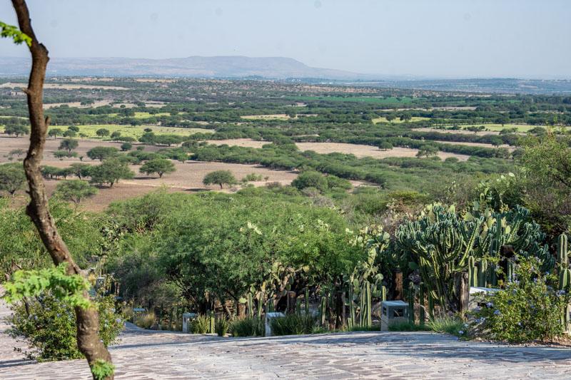 Los Sagrados Image