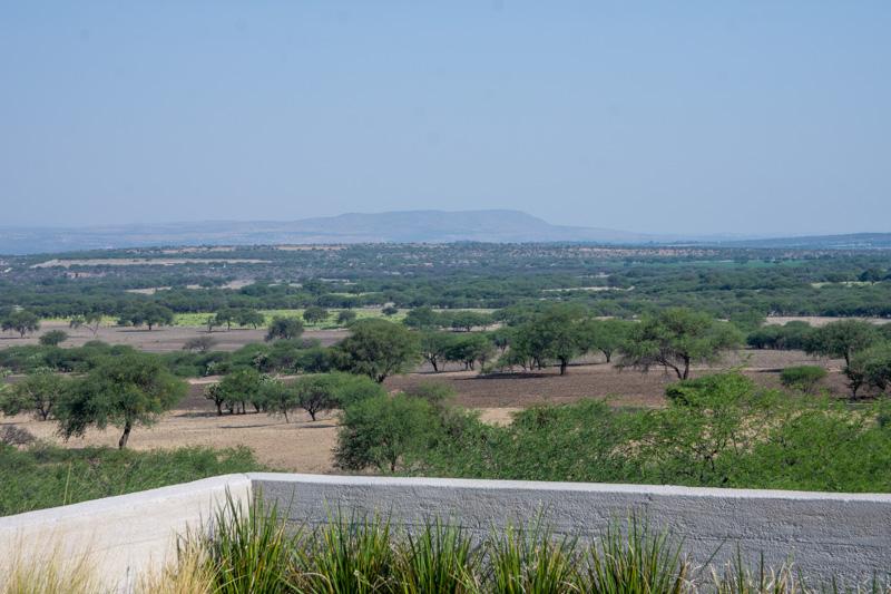 Los Sagrados Image