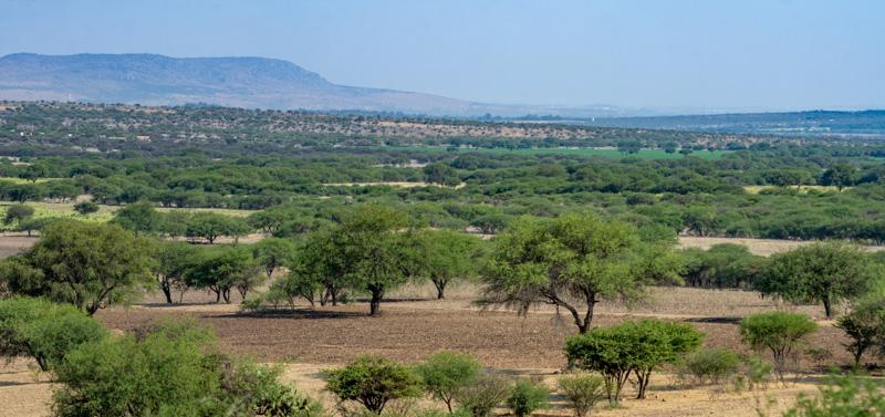 Los Sagrados Image