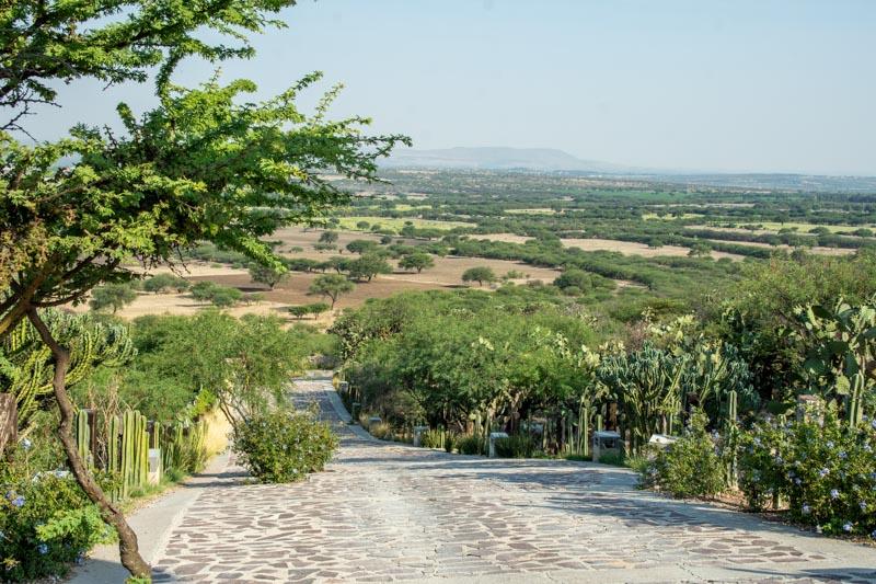 Los Sagrados Image