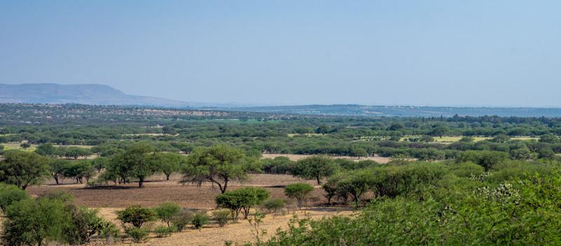 Los Sagrados Image