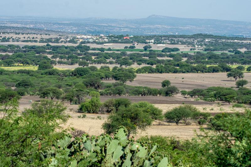Los Sagrados Image