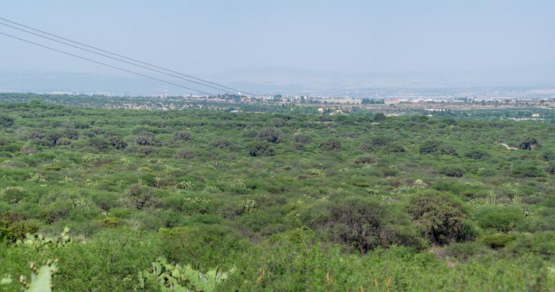 Los Sagrados Image