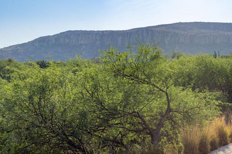 Los Sagrados Image