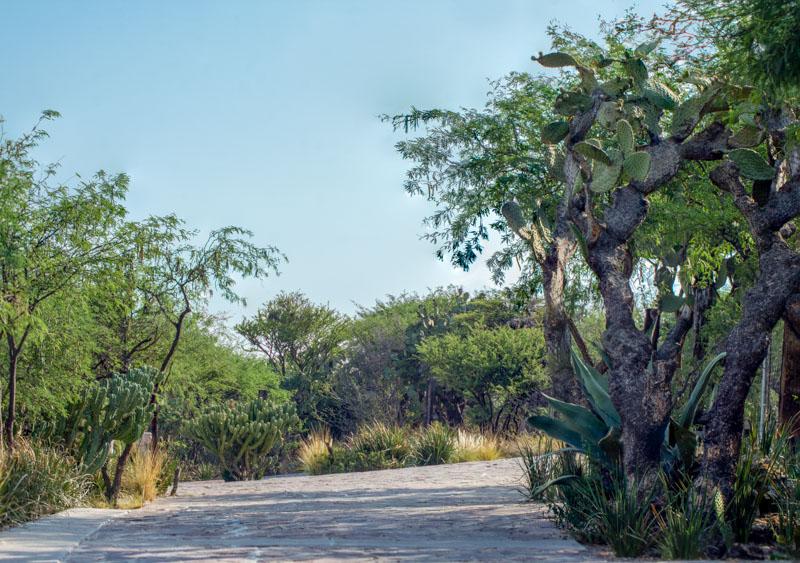 Los Sagrados Image