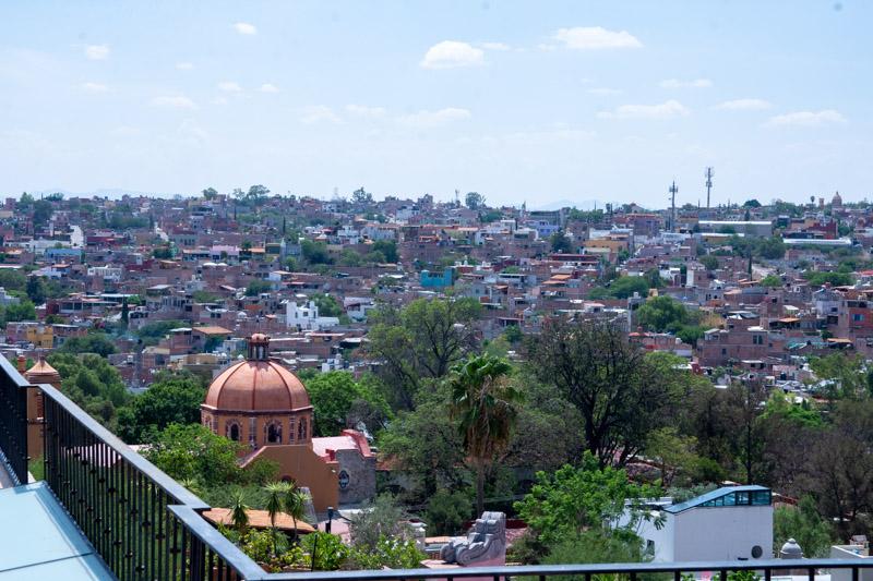 Urban Oasis Image