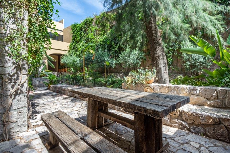 Urban Oasis Image