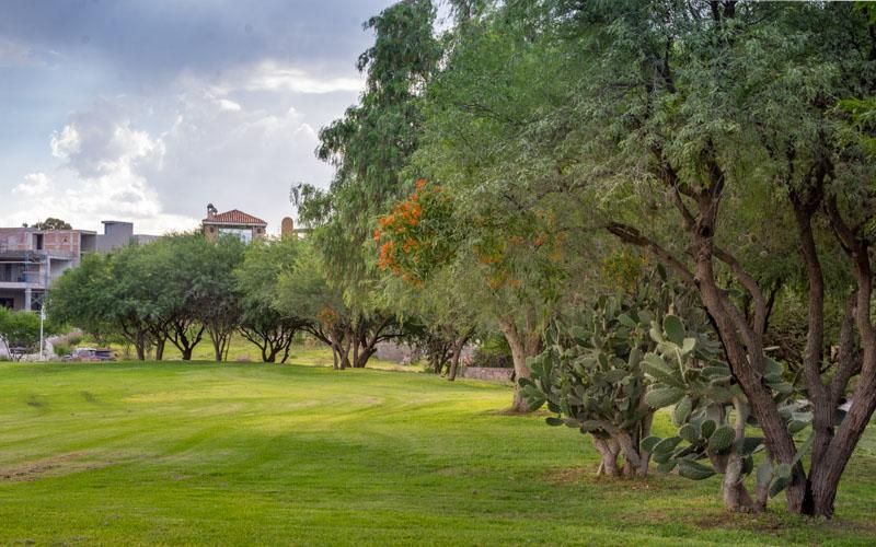 Casa Coronado Image