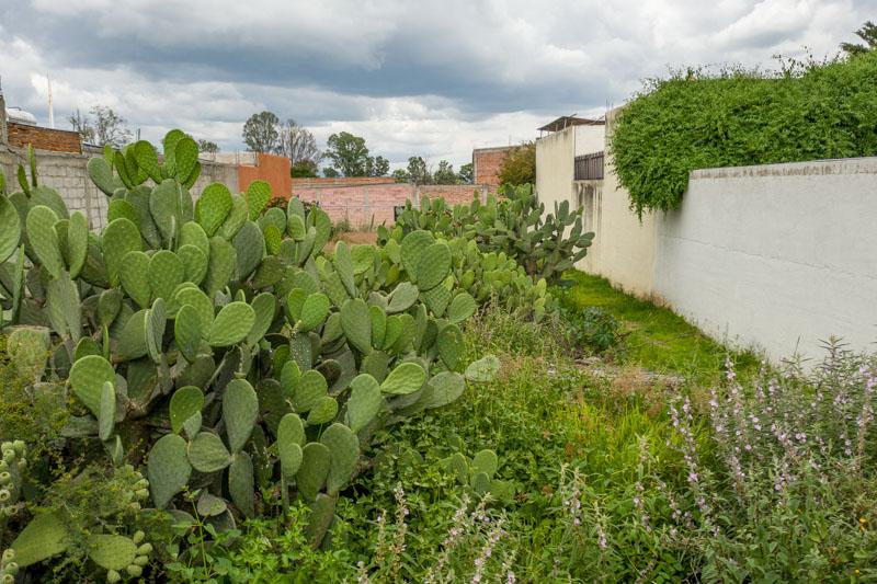 San Benito Lot Image