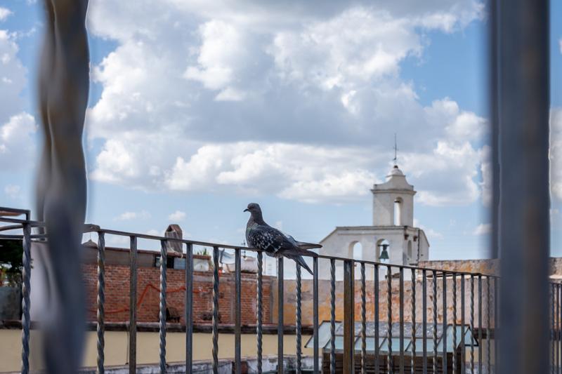 Casa Carmen Image
