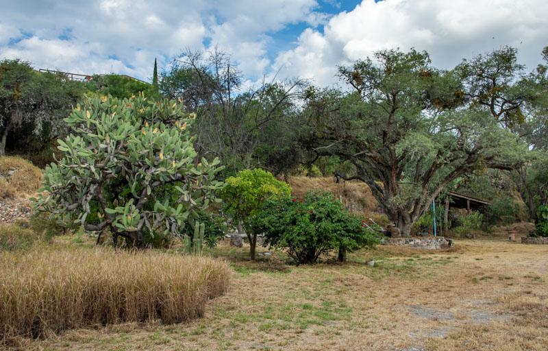 Soledad Lot Image