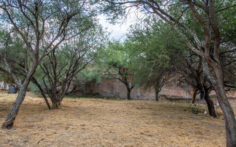 Soledad Lot Image