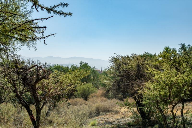 Villas Candelaria Lot Image