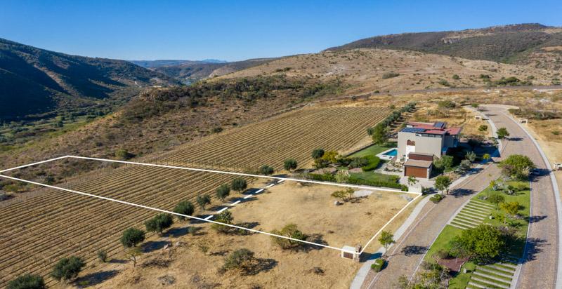 Lot 5 Malbec Image