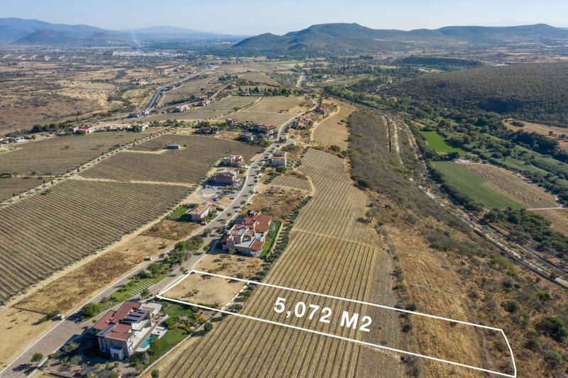 Lot 5 Malbec Image