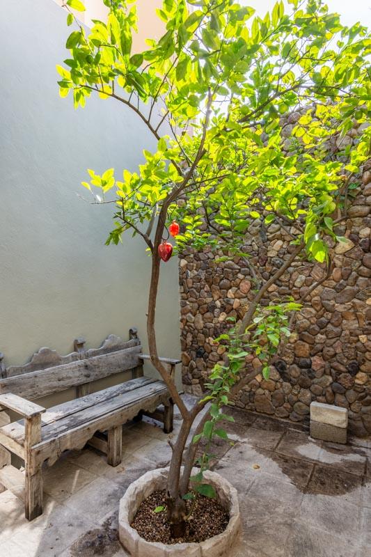 Single Level Charming Retreat Image