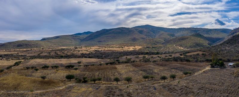 Lote Ensueño Image
