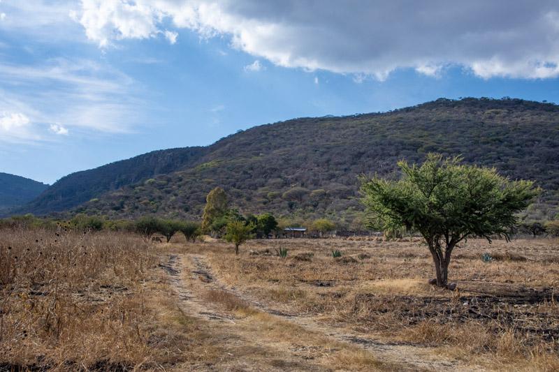 Lote Ensueño Image