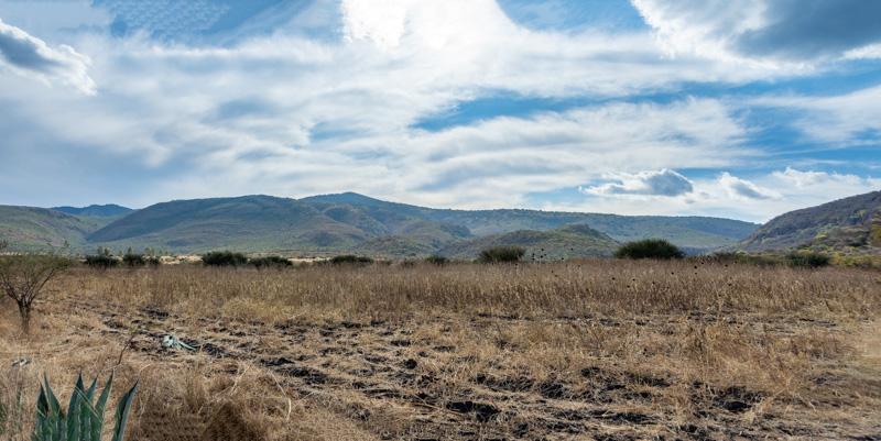 Lote Ensueño Image