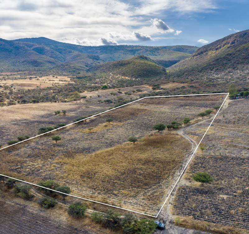 Lote Ensueño Image