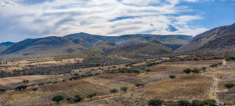 Lote Ensueño Image