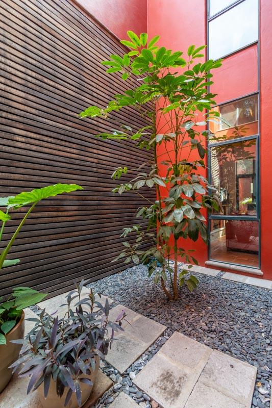 Casa Arboles Image