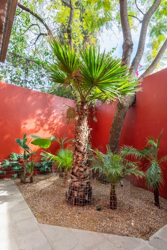 Casa Arboles Image