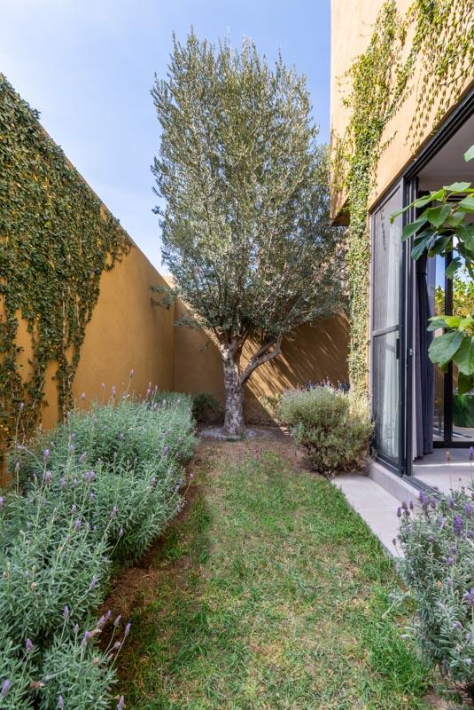 Casa Olivier Image