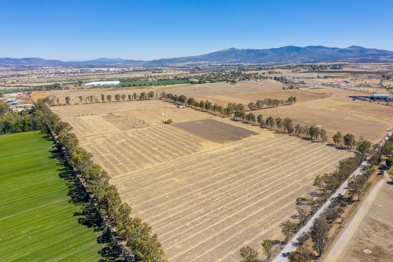 Rancho la Pizcachita Image