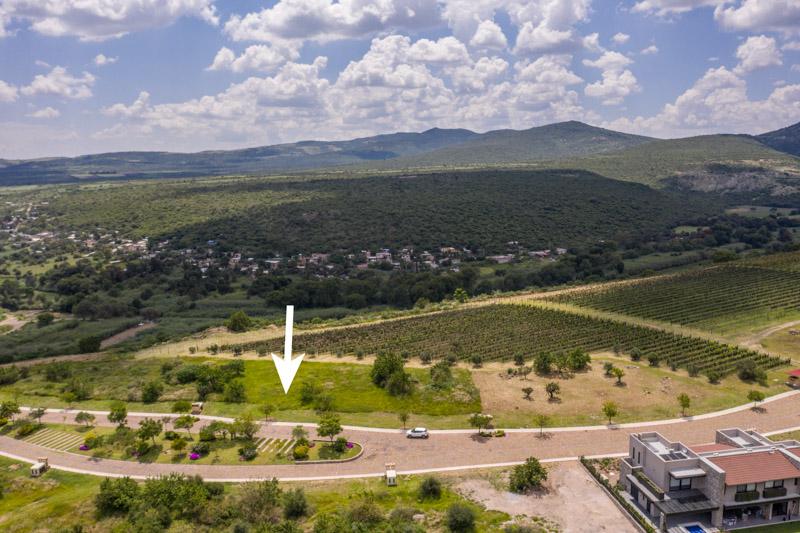 Semillón Lot Image
