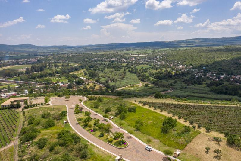 Semillón Lot Image