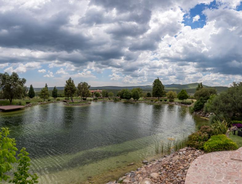Semillón Lot Image