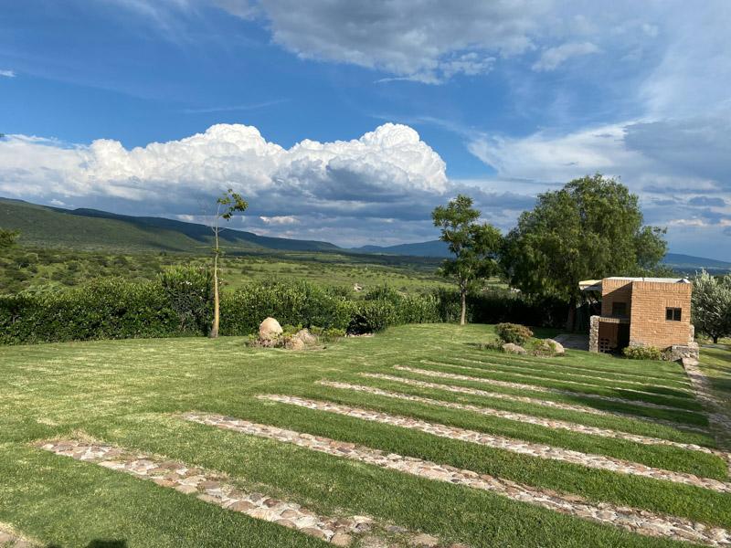 Semillón Lot Image