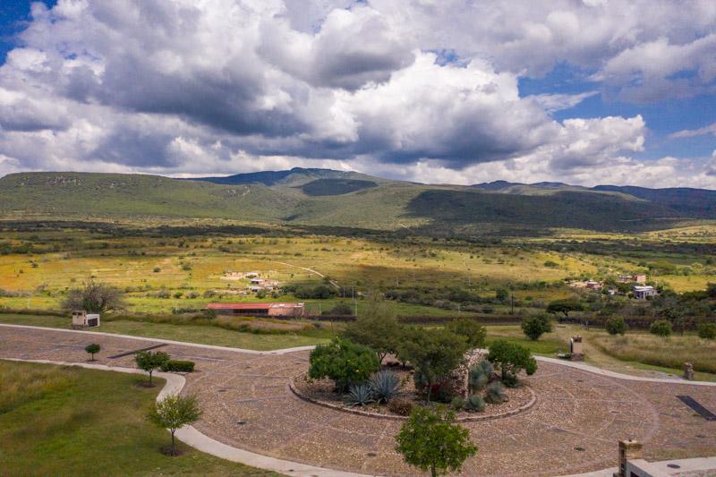 Malbec Lot Image