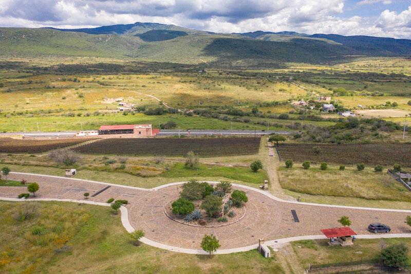 Malbec Lot Image