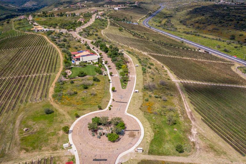 Malbec Lot Image