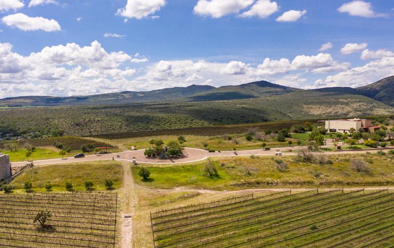 Malbec Lot Image