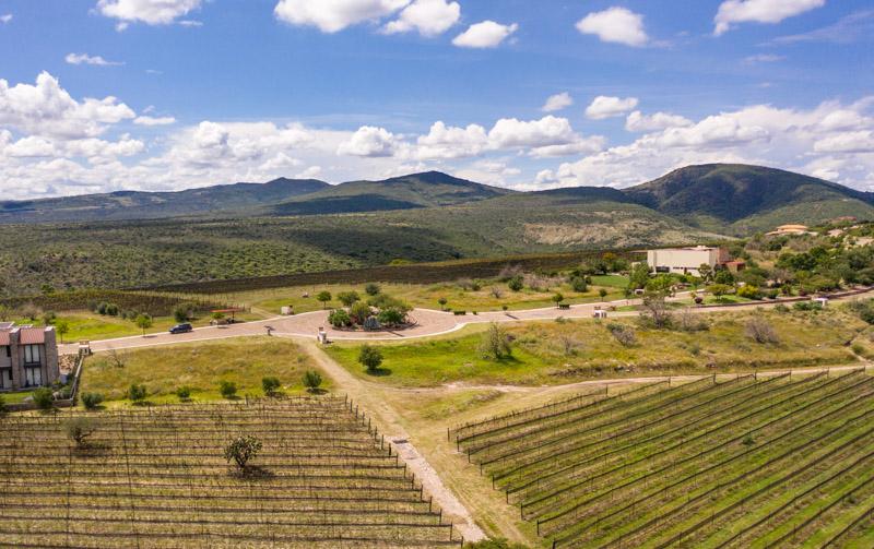 Malbec Lot Image