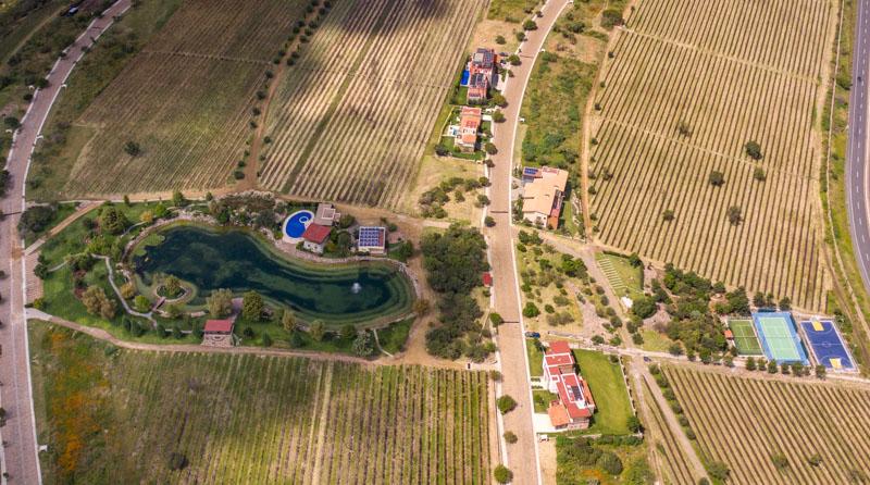 Malbec Lot Image